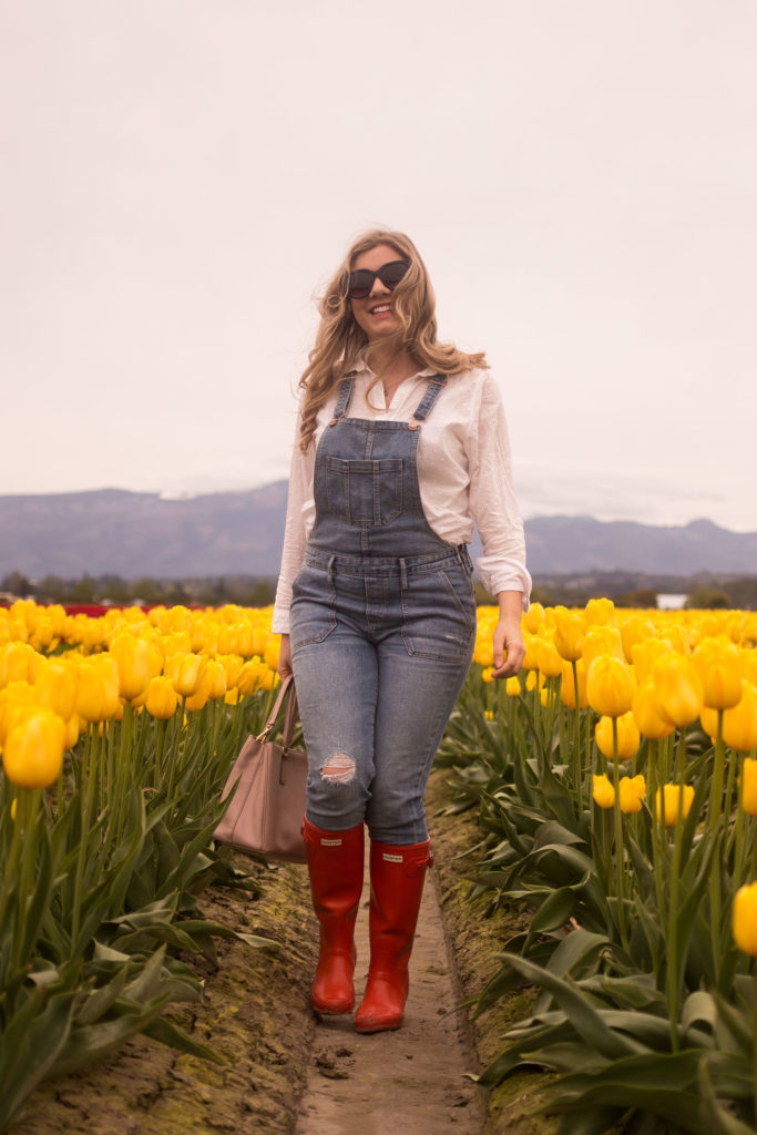 skagit valley tulip festival guide