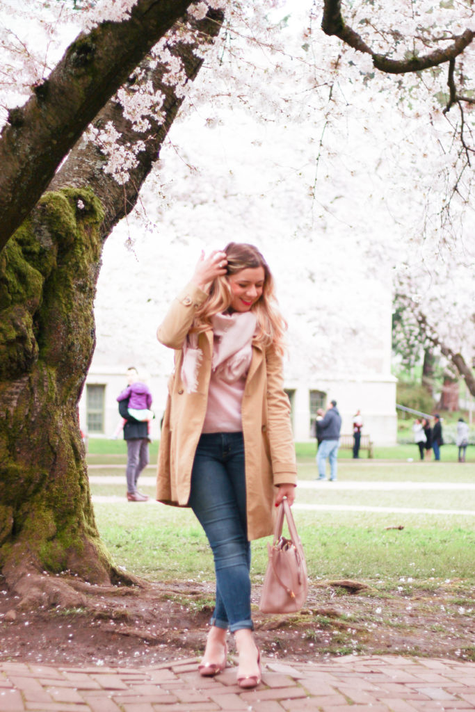 cherry blossoms - university of washington - seattle spring