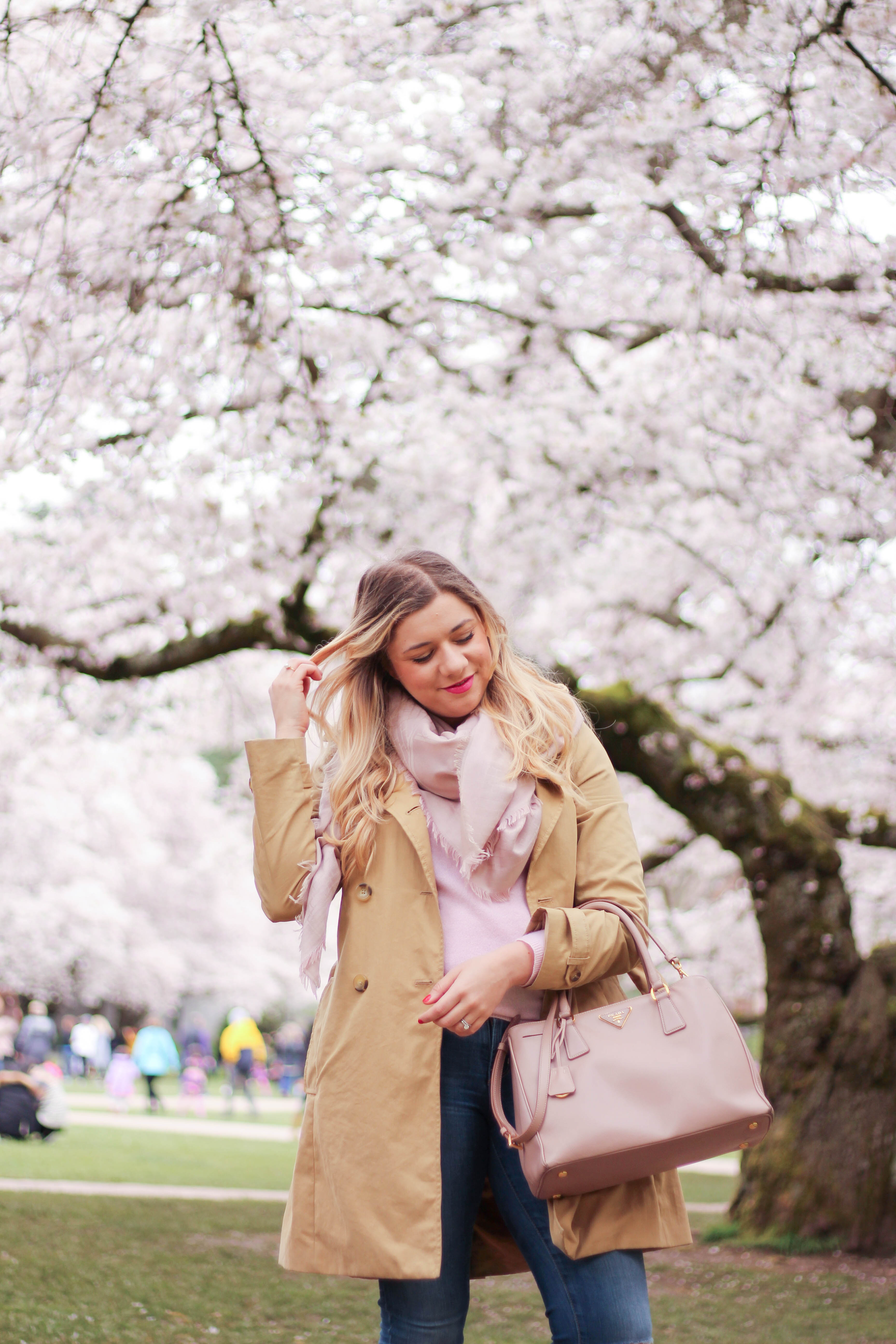 cherry blossoms - university of washington - seattle spring