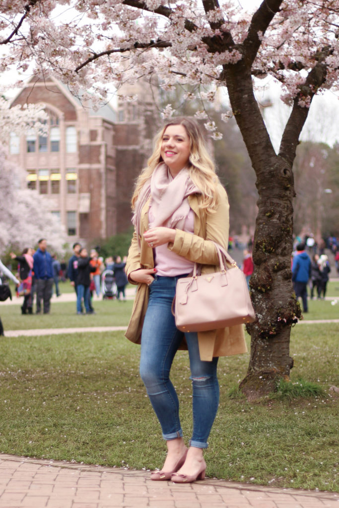 cherry blossoms - university of washington - seattle spring