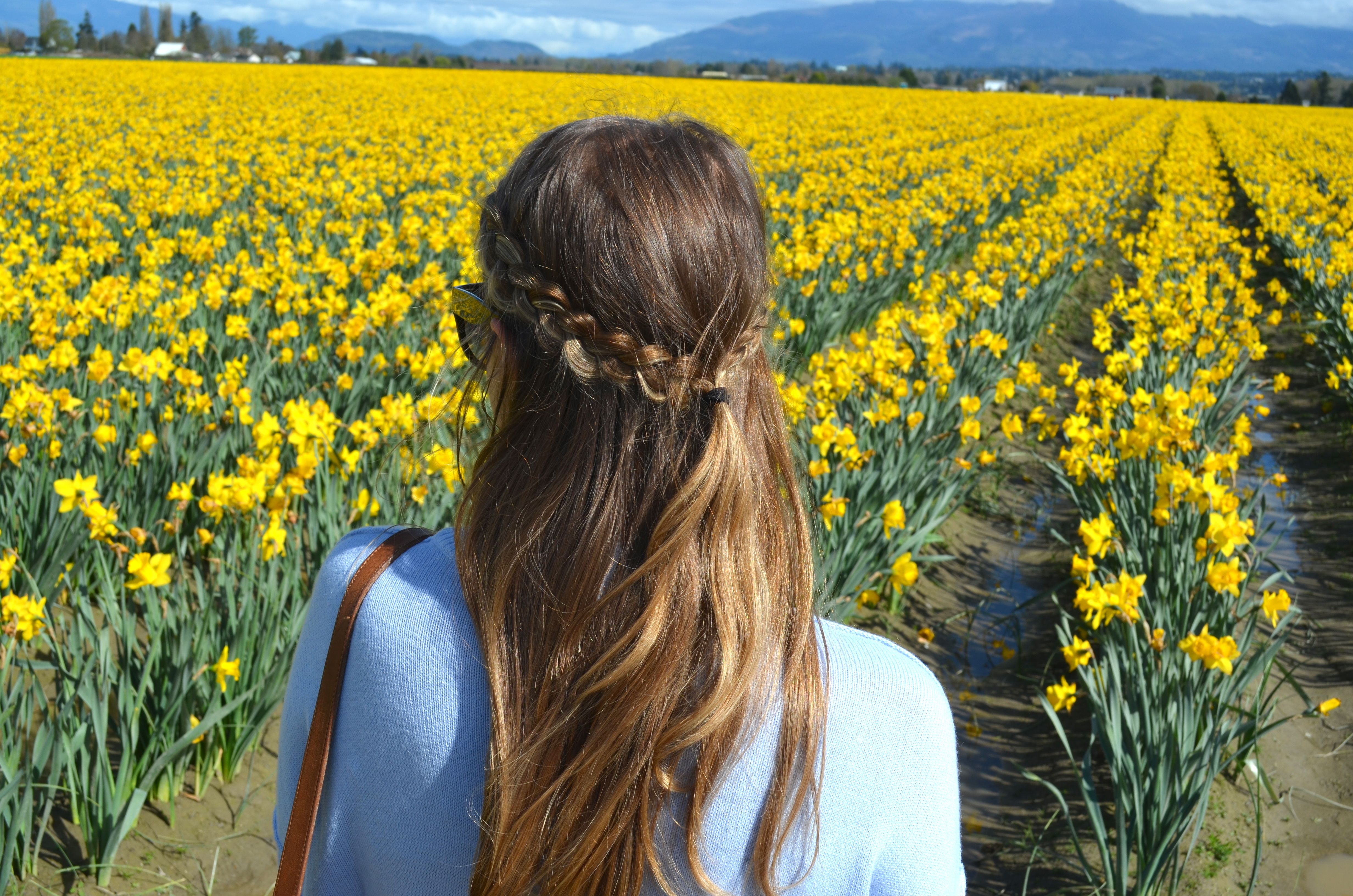 skagit valley tulip festival guide