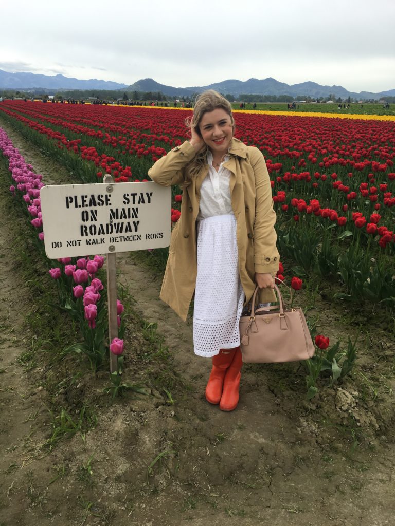 skagit valley tulip festival guide