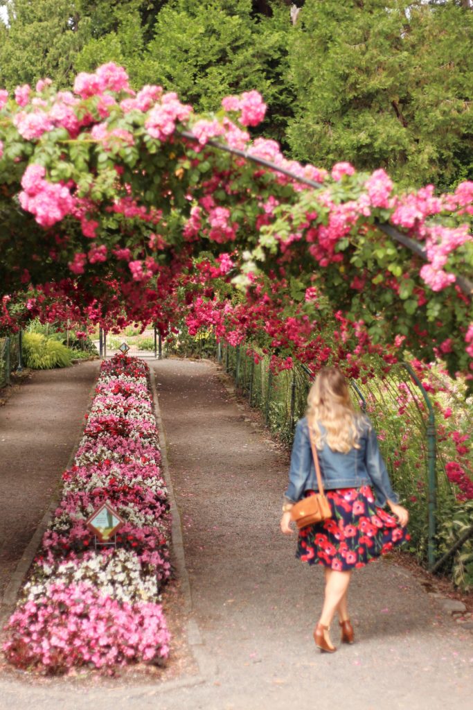 point defiance rose garden