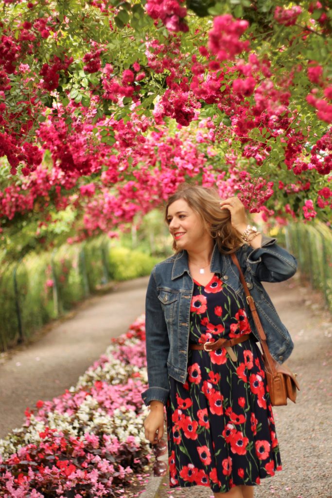 shop stevie poppy dress - point defiance rose garden