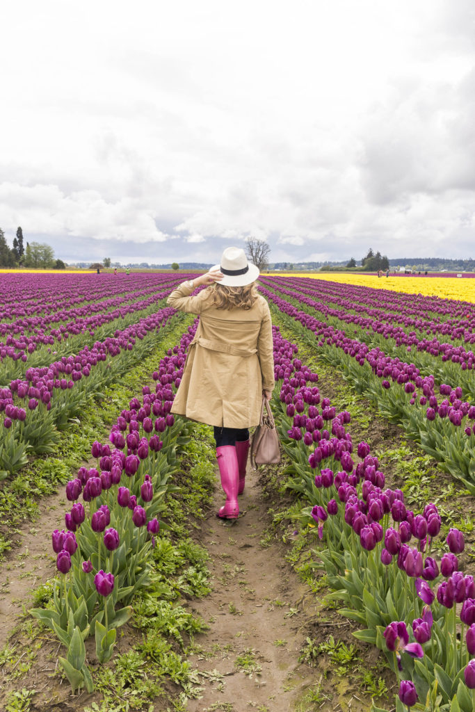 most worn spring accessories - pink hunter boots - J.Crew trench coat - tulip fields - tulip festival - Skagit Valley tulip festival 