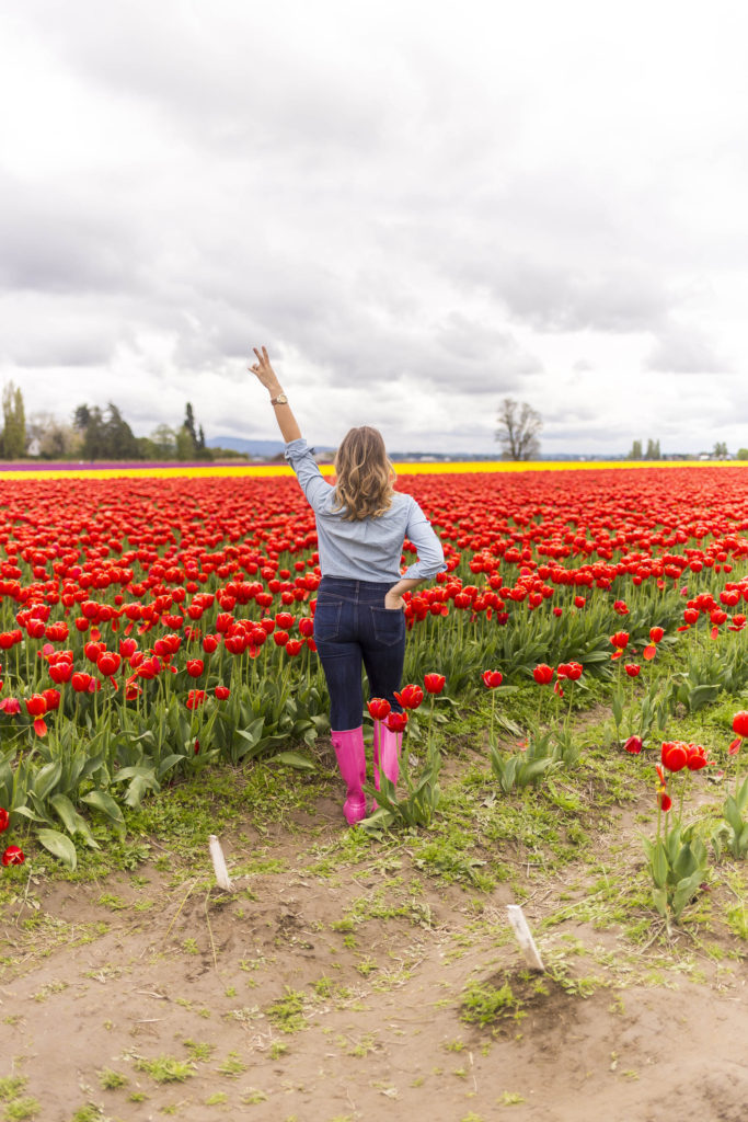 taking a step back - stepping back from blogging - mental health awareness - Skagit Valley Tulip Festivala