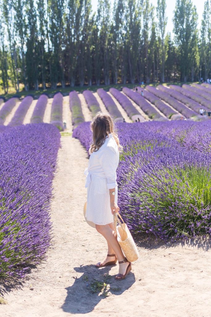 lavender festival - summer to do list - all white after Labor Day - all white summer outfit - feminine summer outfit idea - how to wear a dress as a skirt - Sequim Lavender Festival