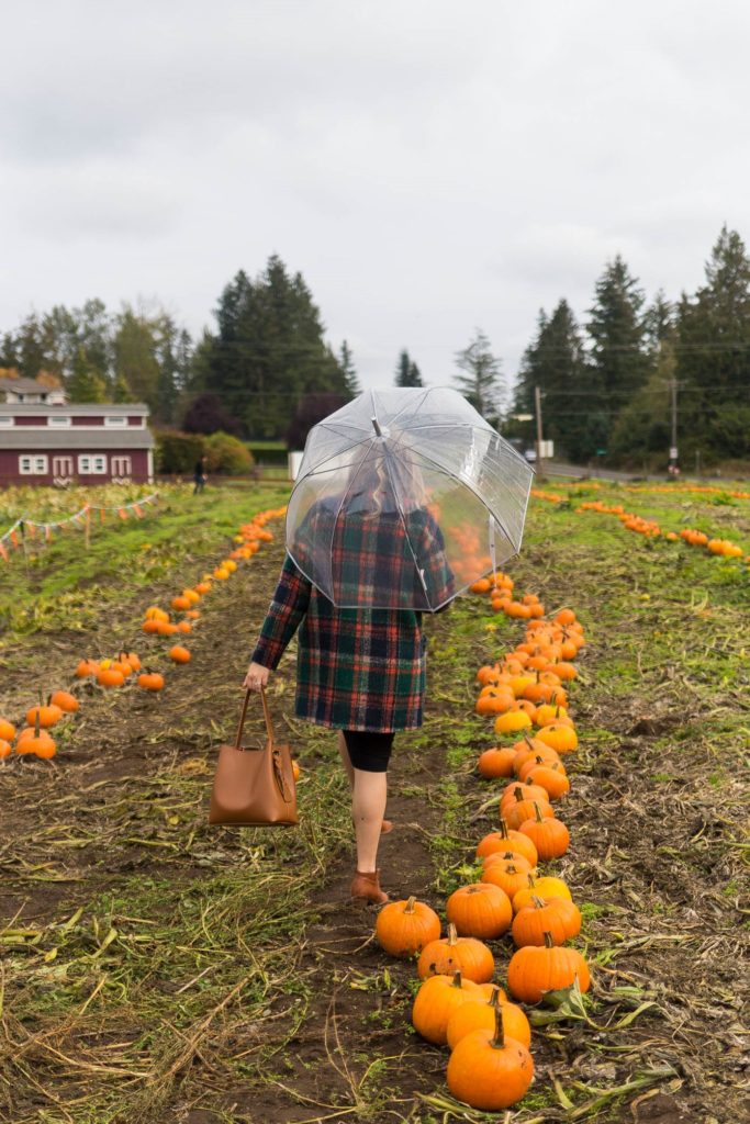 fall maternity outfit - easy fall maternity outfit - seattle style blog - Northwest Blonde 