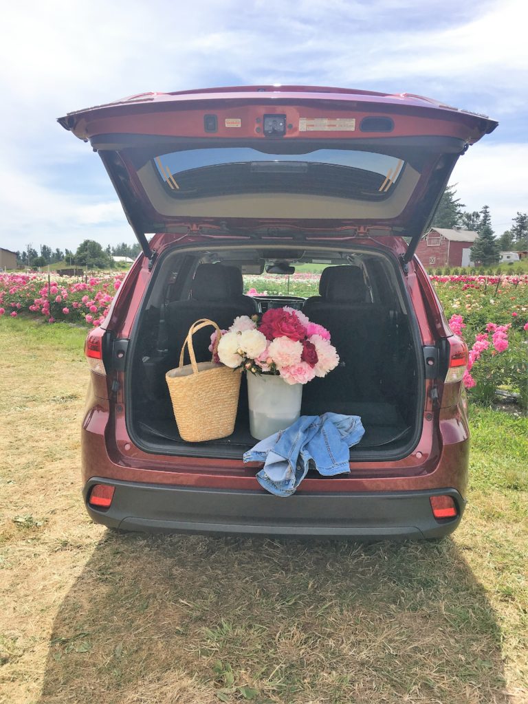 Toyota Highlander - PNW Toyota - pure peonies flower farm - how to care for peonies - Northwest Blonde - Seattle style blog 