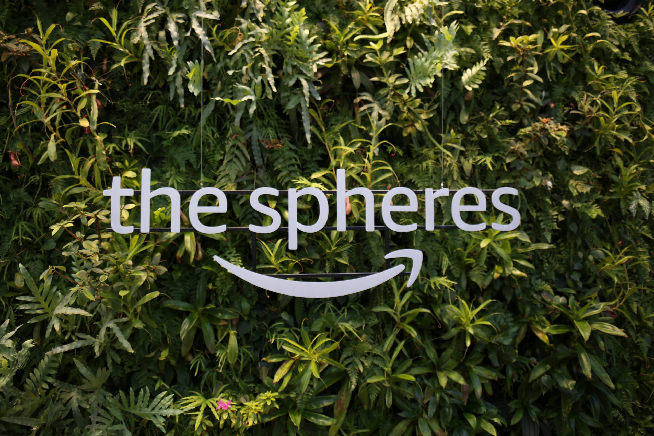 amazon spheres - how to visit the amazon spheres - northwest blonde - seattle style blog