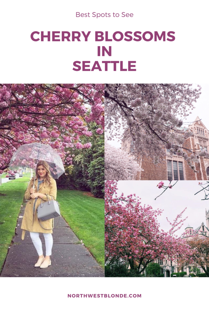 best cherry blossoms in seattle - northwest blonde 2