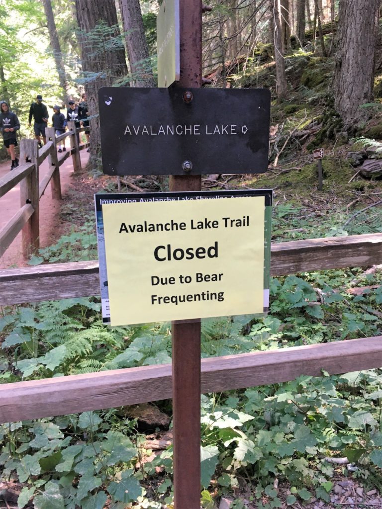 Glacier National Park with a toddler