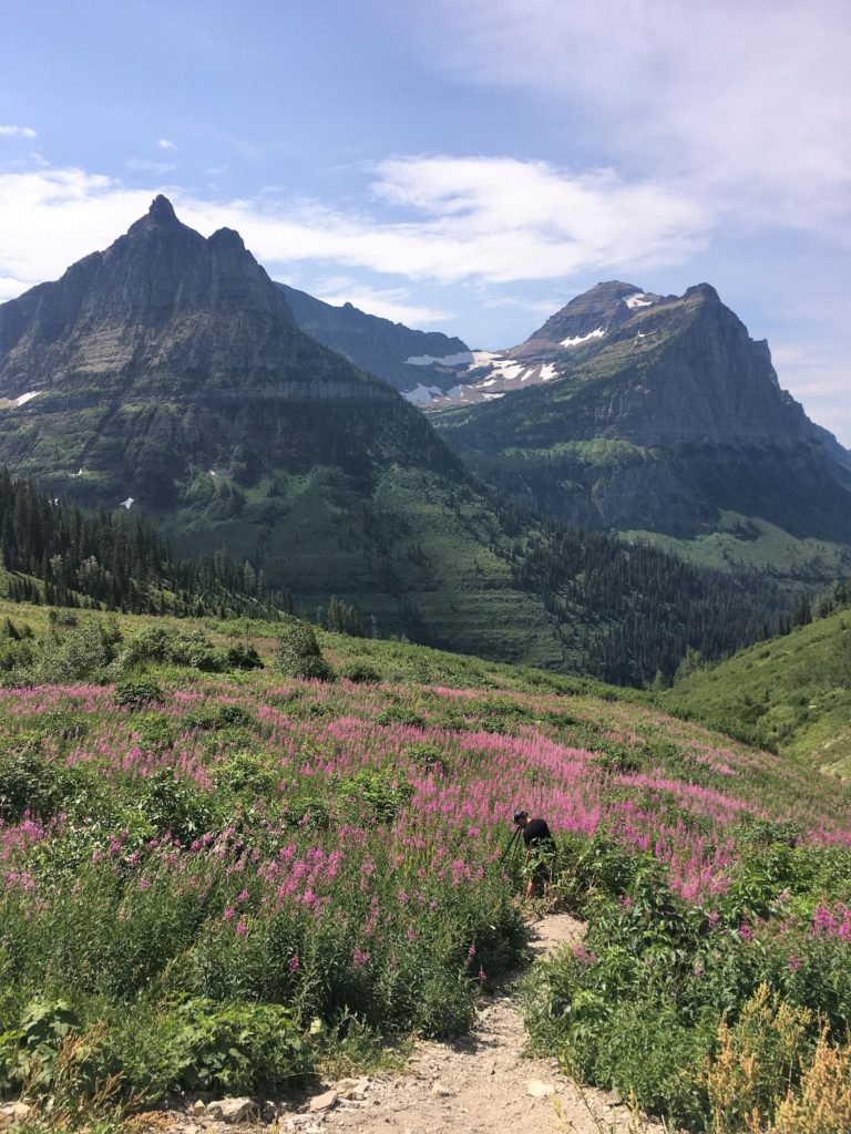 Glacier National Park with a toddler