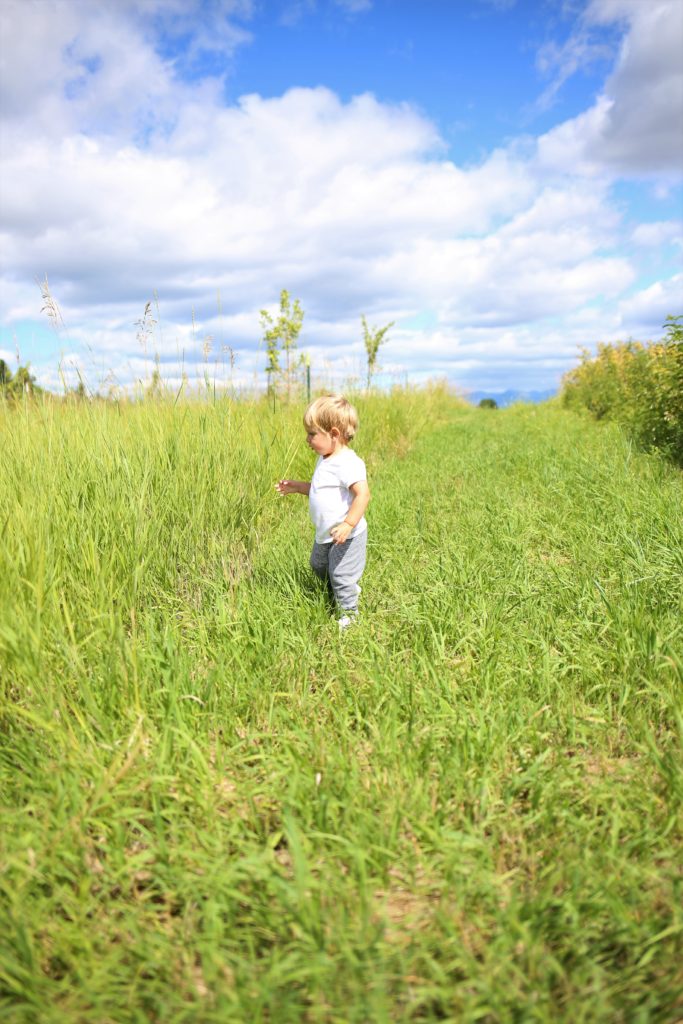 Are you looking for toddler-friendly summer activities in Whitefish, Montana? Have you considered berry picking as a kid-friendly summer activity? We went berry picking at Whitefish Stage Organic Farm and it was a hit! Berry picking with kids is great because they can snack as you pick berries to use later on. If you're in Whitefish Montana for vacation, make sure to stop at Whitefish Stage Organic Farms for a berry fun afternoon activity. #toddleractivities #toddlersummeractivities #kidfriendlyactivities