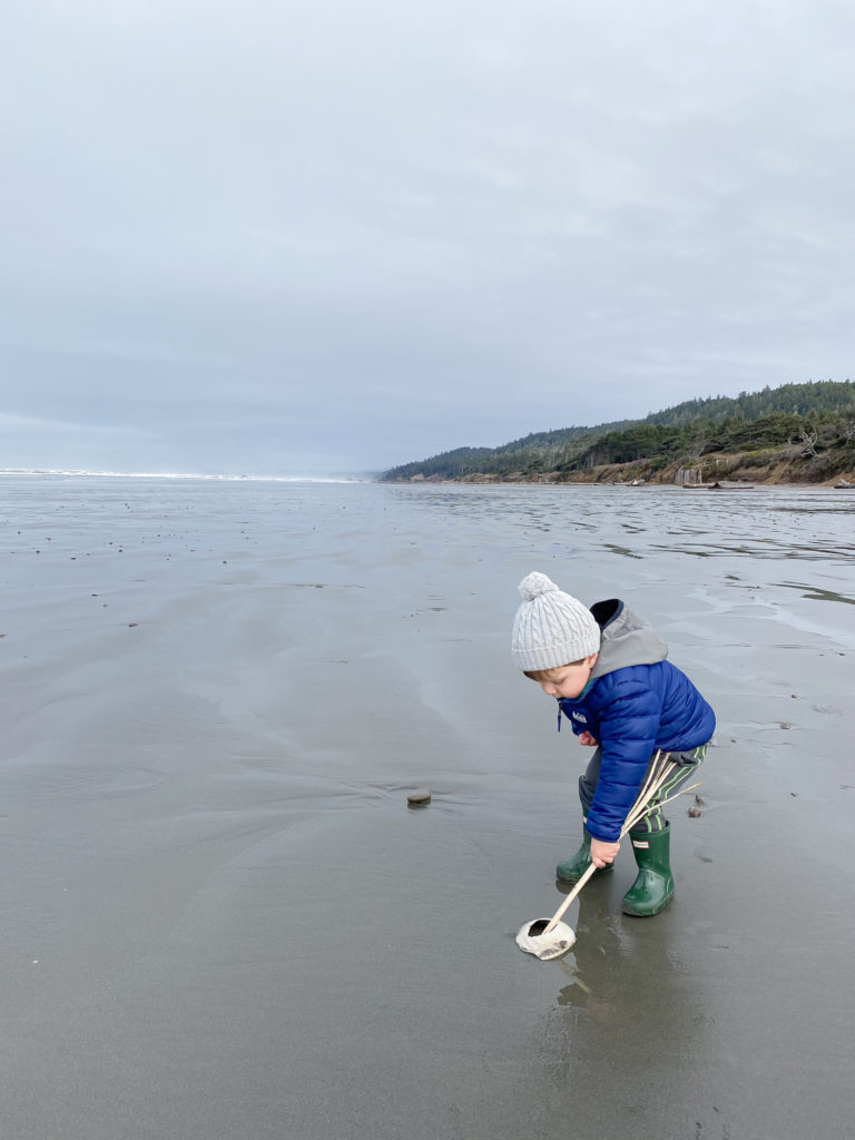 washington coast beaches